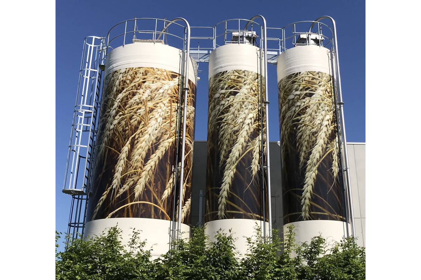 Die Vorteile von Komposit Silos und-tanks in der Lebensmittelindustrie Mit den Fortschritten in Technologien und Materialien haben sich Komposit Silos und -tanks als eine tragfähige Option etabliert.